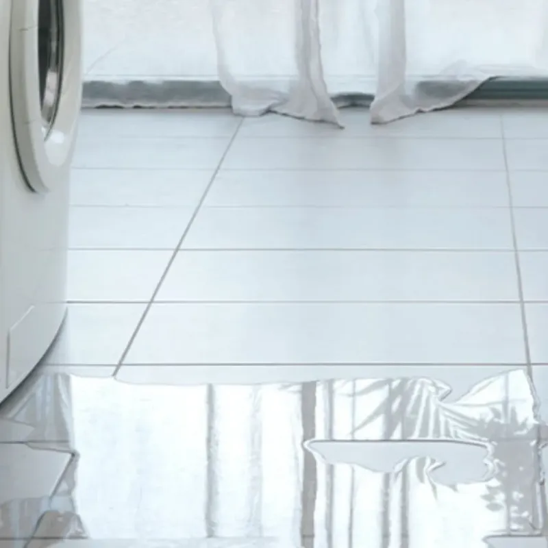 Appliance Leak Cleanup in Auburn, MA