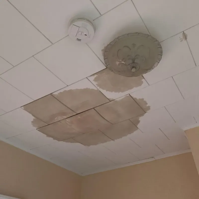 Ceiling Water Damage Repair in Auburn, MA