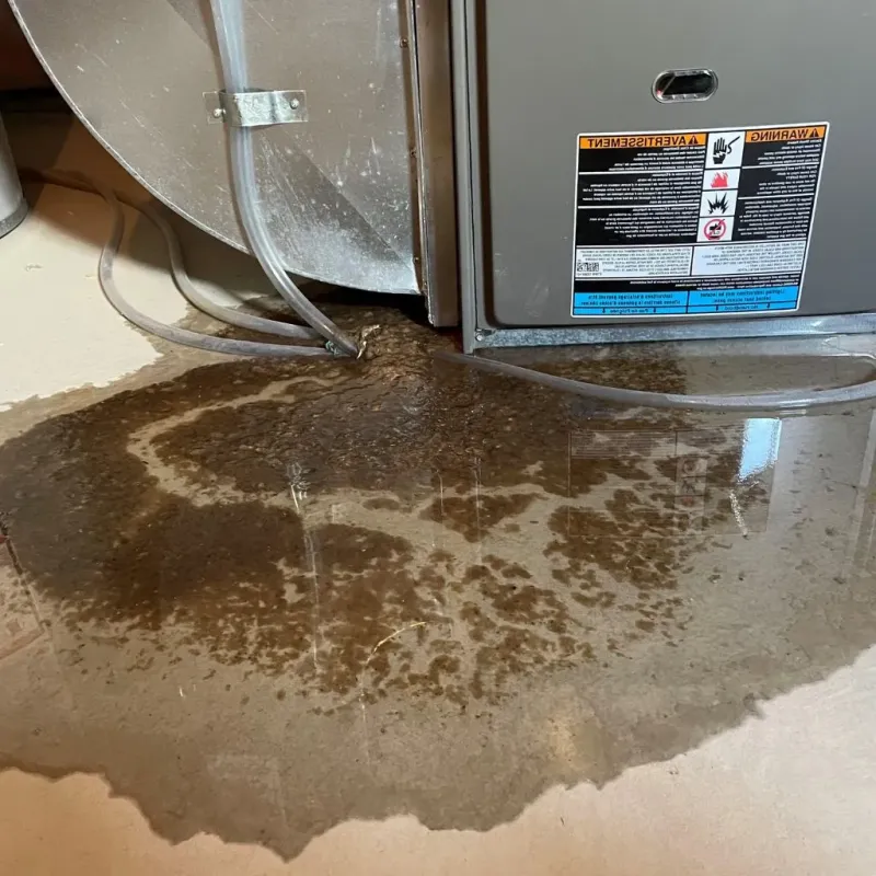 Pipe Burst and Leak Restoration in Auburn, MA